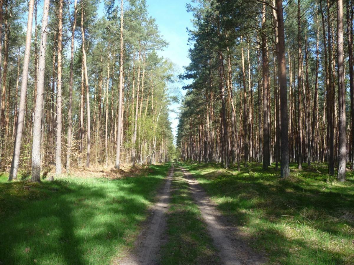 Ferienwohnung Ostseewald 罗斯托克 外观 照片
